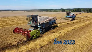 Žně 2023 Plechová kavalérie 2x Fortschritt E 512 & Zetor Forterra 135 -