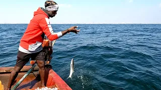 Barracuda Fish Catching in Sea