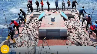 Fishing 10 tons of skipjack tuna in 15 minutes at Maldive Islands | skipjack tuna fishing