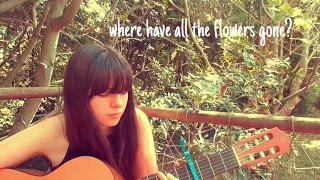 where have all the flowers gone? - cover