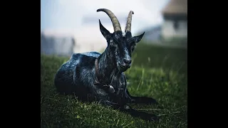 Koza 🐐 Červen 💥 | Výklad pro duši