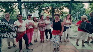 Gostava de ti - Sardinhada Associação de tocadores de concertina de Ponte de Lima