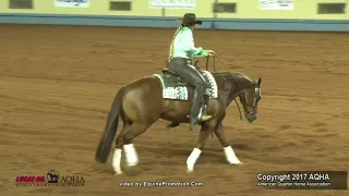 2017 AQHA Amateur Reining