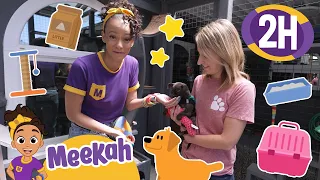 Meekah Visits Playful Pets! | 2 HOURS OF MEEKAH! | Educational Videos for Kids