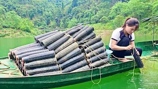 Catching Fish and Shrimp Overnight, How the girl caught shrimp on the big lake