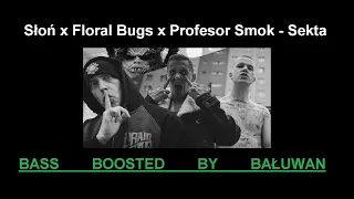 Słoń x Floral Bugs x Profesor Smok - Sekta | BASS BOOSTED + Tekst opis