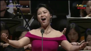 강혜정, 스트라우스 2세 - "봄의 소리 왈츠, Op.410" 2018 강남심포니 신년음악회