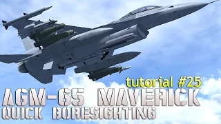 Falcon 4 BMS Tutorial 25 : AGM-65D Maverick quick boresighting