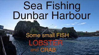 Sea Fishing Scotland - East Coast - Dunbar Harbour - Surprise Catch!