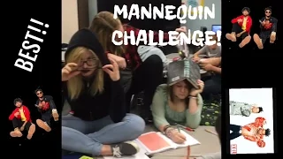 MANNEQUIN CHALLENGE! (Classroom Version)