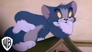 Tom and Jerry Spotlight Collection  | Volume 2 Trailer | Warner Bros. Entertainment