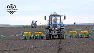 Тракторы МТЗ-1221.2 с навесными пневматическими сеялками МС-12 - посев подсолнечника