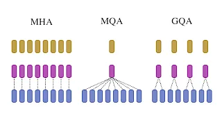 Variants of Multi-head attention: Multi-query (MQA) and Grouped-query attention (GQA)