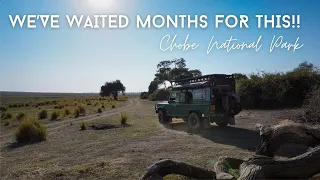 We Have Waited 6 Months For This! | Chobe National Park Botswana | Overland Land Rover Defender