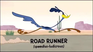 Wile E Coyote And Road Runner In "Multiply And Conquer"