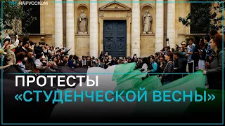 Протесты «Студенческой весны» в поддержку Газы выходят за пределы США