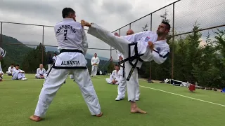 GM Vasilis Alexandris - Exercises to improve kicking (ITF Taekwon-Do Summer Camp Greece 2018)