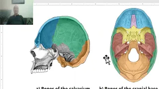 Anatomy of head and neck module in Arabic 9 (Cranial cavity, anterior cranial fossa) , by Dr. Wahdan