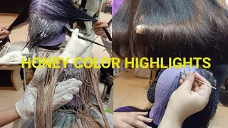Honey Color Highlights by AISHA BUTT