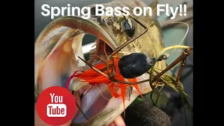 Bass on Fly - Spring time fishing in South Africa #Bassfishing #Bass #Africa