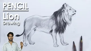 Realistic Lion Drawing and Shading in Pencil | step by step process | Supriyo