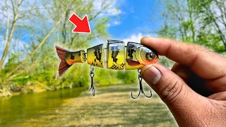 Swimbait fishing for creek smallmouth bass || MIKE BUCCA BABY BULLSHAD