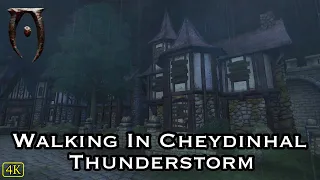 Oblivion - Walking In Cheydinhal With Thunderstorm, Music & Ambience - Jeremy Soule - Sleep & Study.