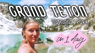 THE BEST of GRAND TETON NATIONAL PARK // delta lake hike, jenny lake, swimming, a bear!