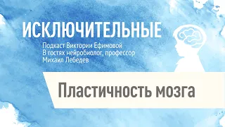 Пластичность мозга