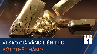 Giải mã nguyên nhân khiến giá vàng liên tục rớt "thê thảm" | VTC1
