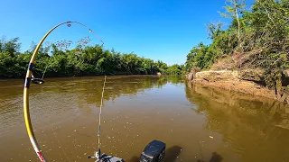 APRENDA O MACETE DE PESCAR PACU NO RIO MIRANDA!! #pesca #pescaria #riomiranda