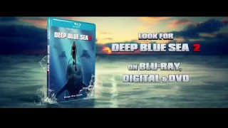 DEEP BLUE SEA 2 Official Trailer 2018 Shark Horror Movie HD   YouTube