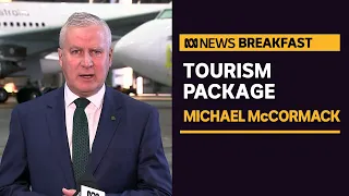 Deputy PM on the government's plan to get more Aussies holidaying at home | ABC News