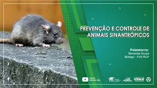 Prevenção e Controle de Animais Sinantrópicos