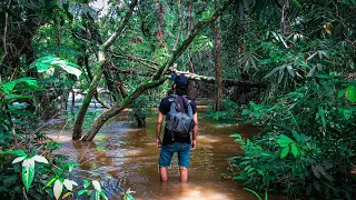 Menyusuri Hutan Di Tepian Sungai