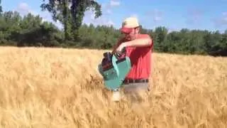 Mini Combine Sampling Malting Barley 7-24-14