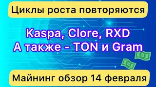 KASPA, CLORE, RXD - ЦИКЛЫ РОСТА ❗️ А ТАКЖЕ GRAМ, TON и ТЕЛЕГРАМ // МАЙНИНГ ОБЗОР 14 ФЕВРАЛЯ