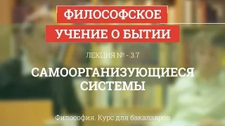 3.7 Самоорганизующиеся системы - Философия для бакалавров