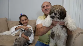 Evimize Köpek Geldi! Lina'ya Dev Sürpriz! Köpek Lina'nın Yatağına Çiş Yaptı