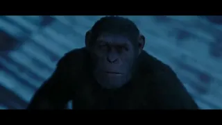 Hero - Skillet - War of the planets of the apes - MV