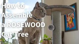 How to Assemble Our Feline First Rosewood Cat Tree