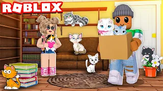 ROBLOX FIND THE CATS