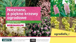 Nieznane, a piękne krzewy ogrodowe  - zapis webinarium z 08.04.2021
