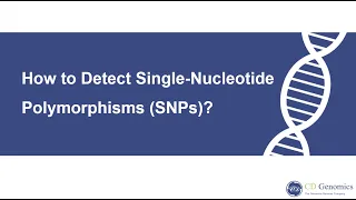 What is single-nucleotide polymorphism and how to detect it?