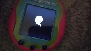 Tamagotchi Uni Death (RIP Shy II the Memetchi)