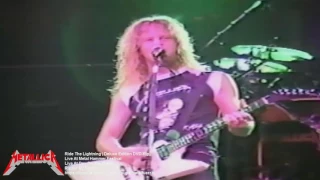 Metallica: Live at metal hammer festival & live at day on the green DVD-Rip