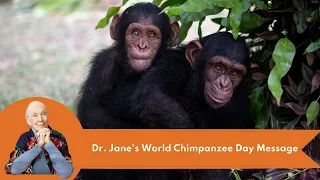 Dr. Jane Goodall's Message for World Chimpanzee Day 2021