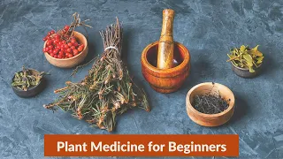 Plant Medicine for Beginners | Linda Black Elk