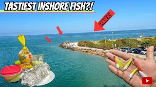 Everybody FISHES this JETTY for THIS! *Catch&Cook* (Johns pass fishing)