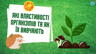 Які властивості живих організмів та як їх вивчають?